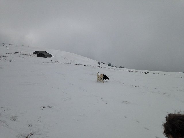 col de Senmoz (37)